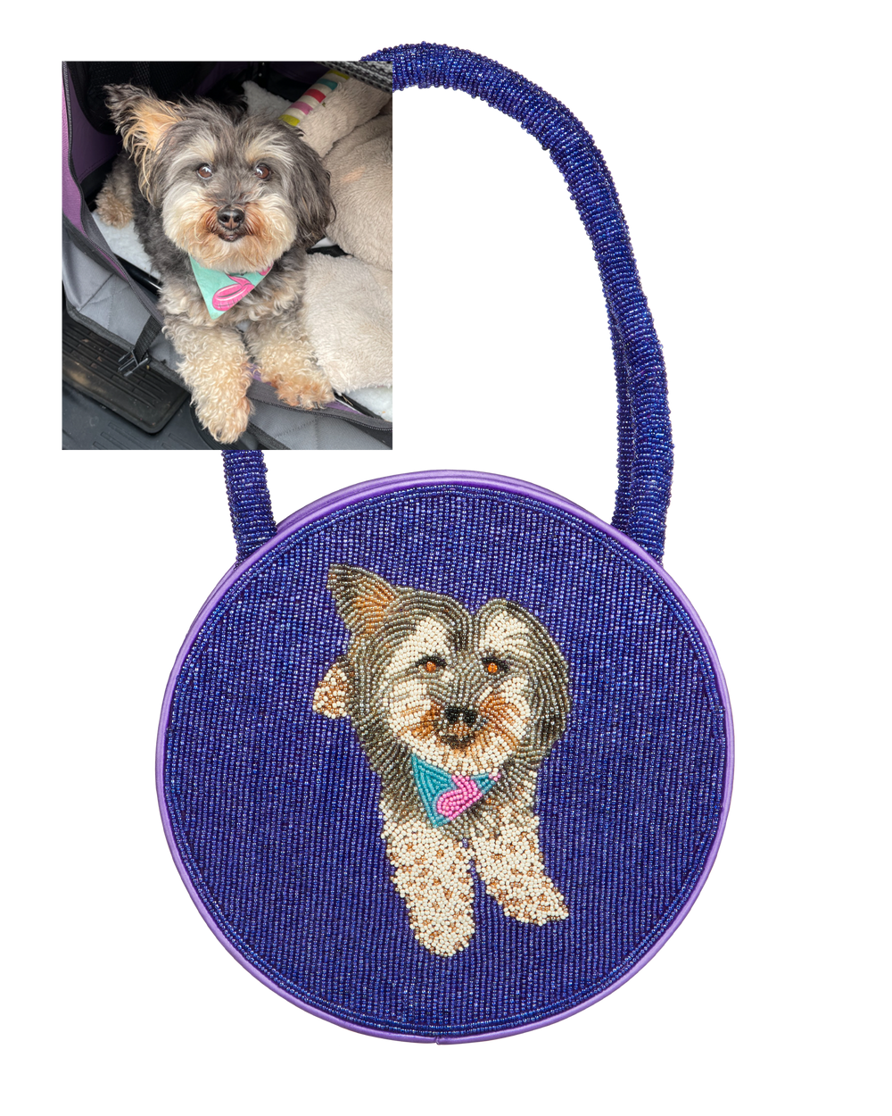 *CUSTOM* Pet Portrait Bag