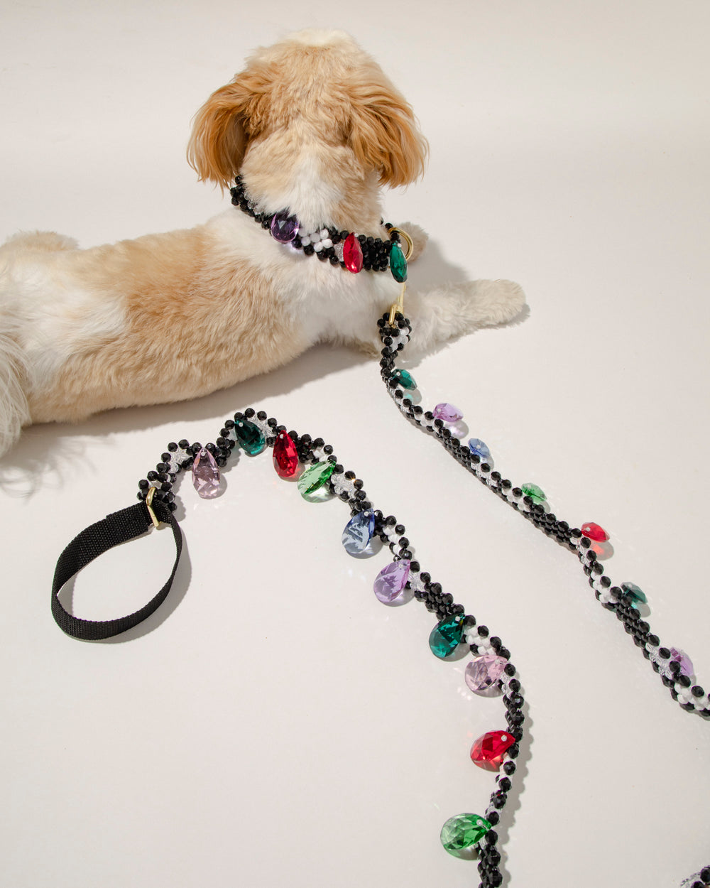 Bianca Dog Leash