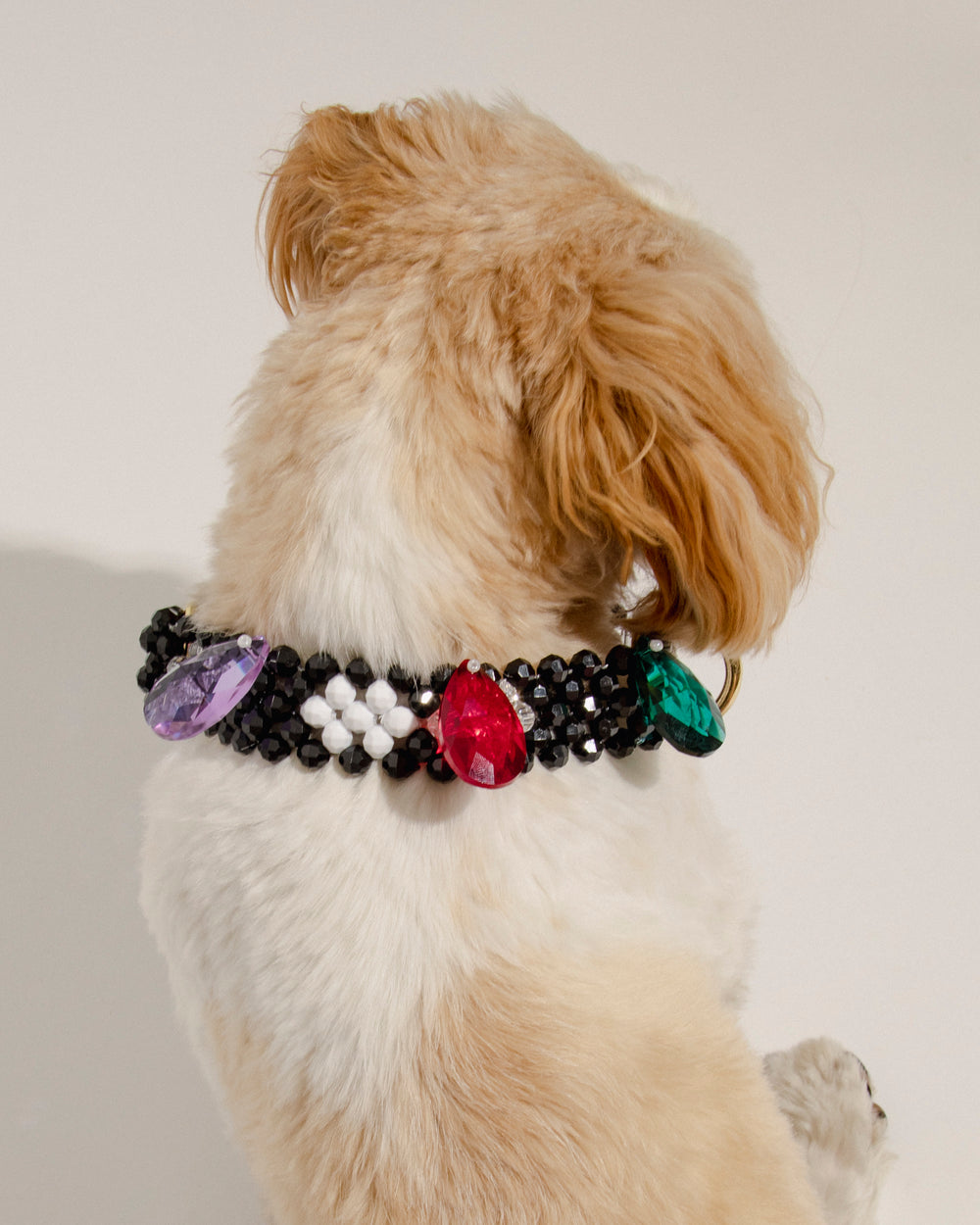 Bianca Dog Collar