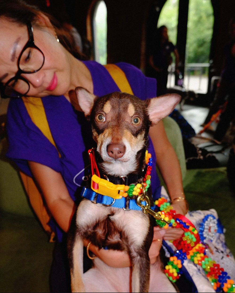 Playdate Dog Collar